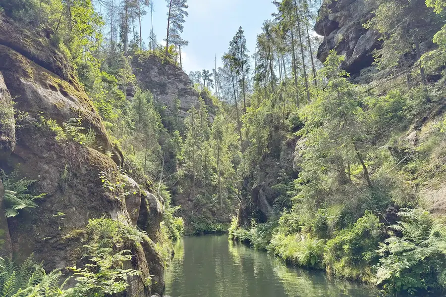 Foto von Tour 23: Wanderung zur Oberen Schleuse